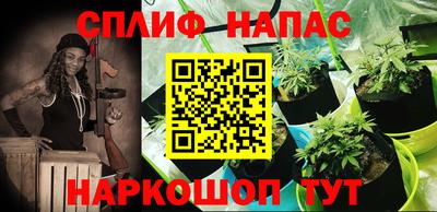 гашик Обь