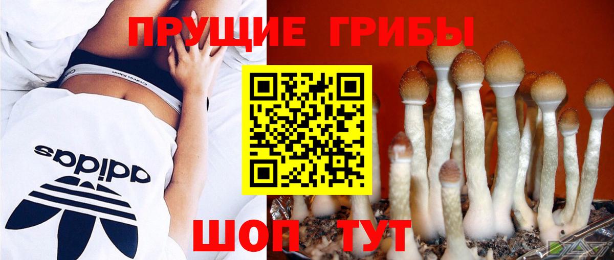 Галлюциногенные грибы мухоморы Саянск