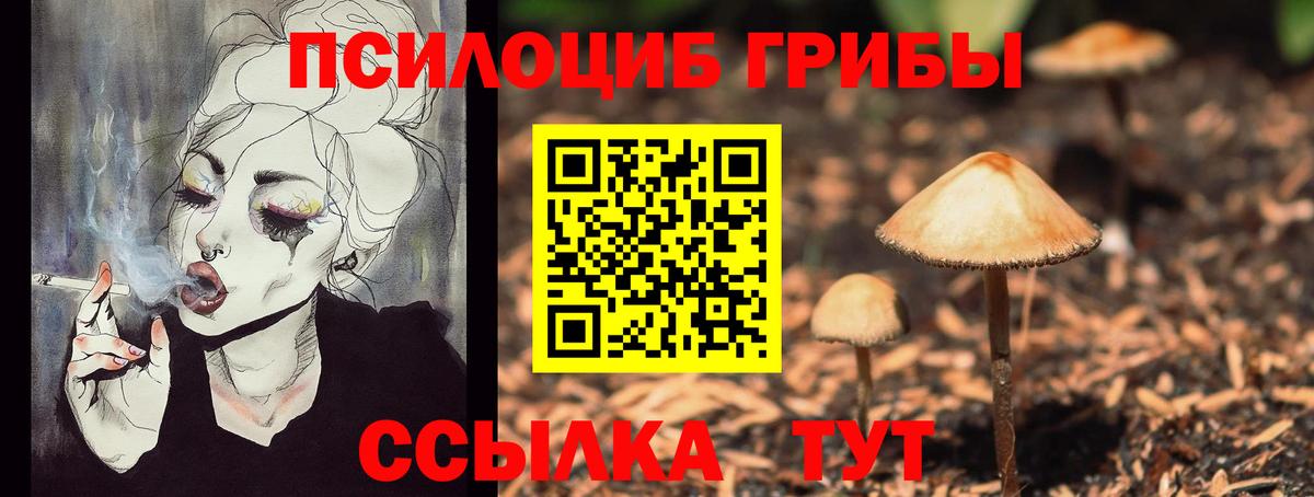 Псилоцибиновые грибы прущие грибы  Вход с VPN  Саянск  Псилоцибиновые грибы мухоморы 